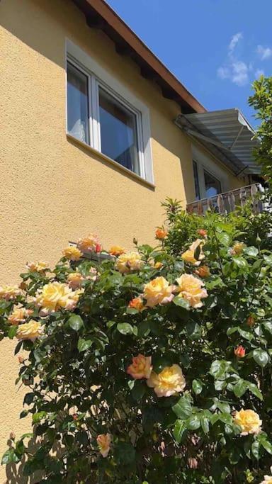 Duesseldorf Messe And Airport, 2-Bedroom Apartment With Kitchen And Garden Дуйсбург Экстерьер фото