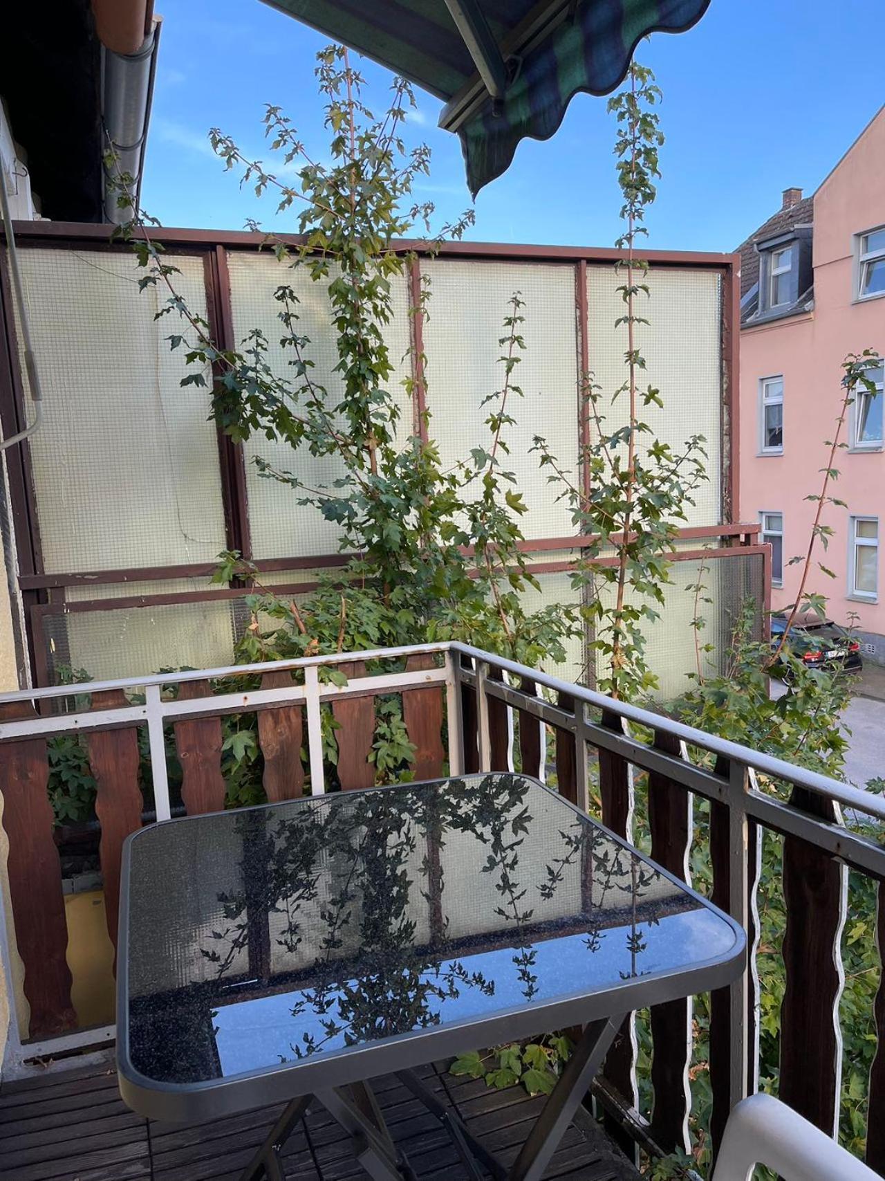 Duesseldorf Messe And Airport, 2-Bedroom Apartment With Kitchen And Garden Дуйсбург Экстерьер фото